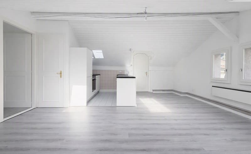 Appartement de 2.5 à louer à Territet (3)