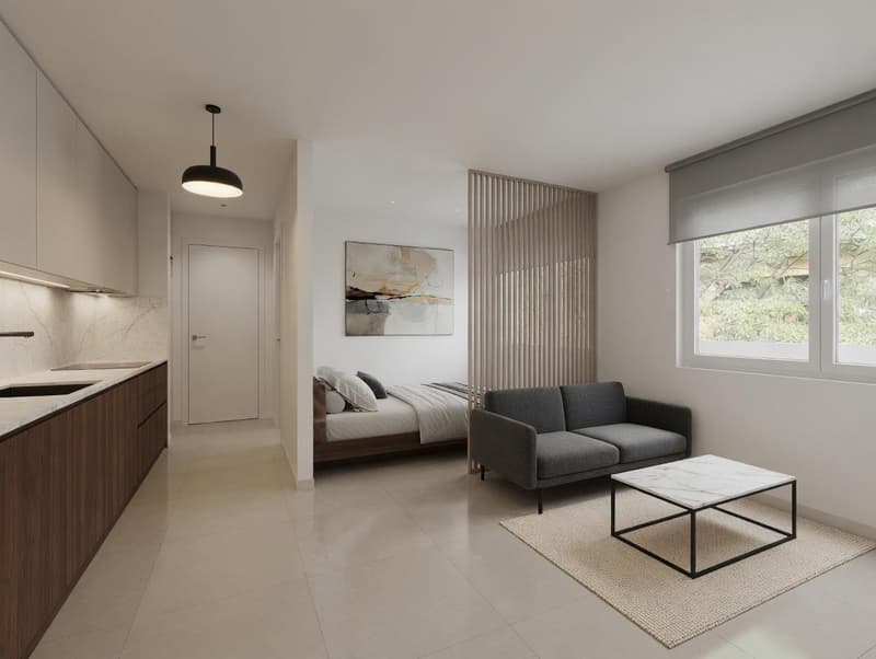Magnifiques studios meublés au coeur de la Veille Ville de Sion (1)