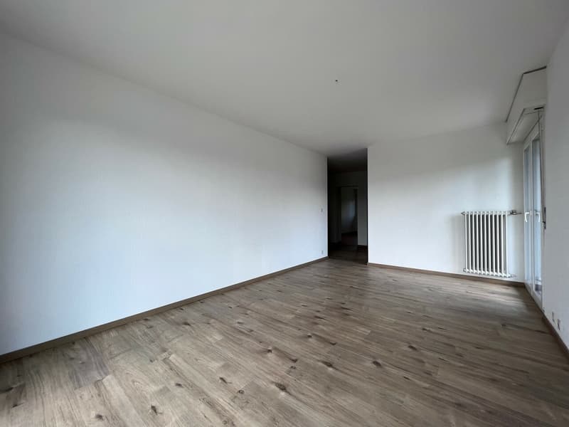 Grand 3.0 pces de 82 m2 (2)