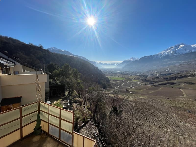 Bel appartement de 5 pièces (7)
