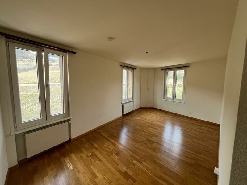 Bel appartement de 5 pièces (3)
