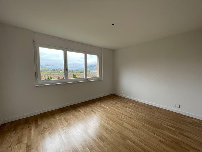 Magnifique appartement rénové 2.5 pièces (5)