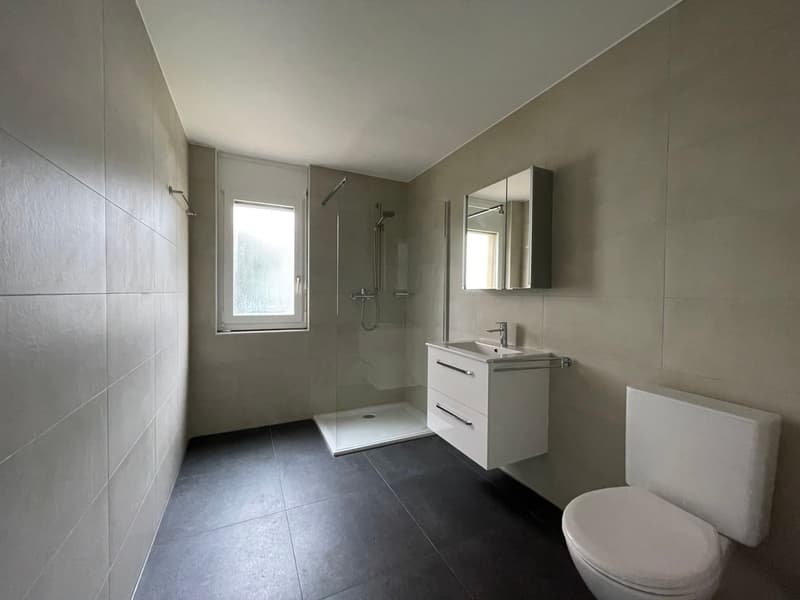 Magnifique appartement rénové 2.5 pièces (4)