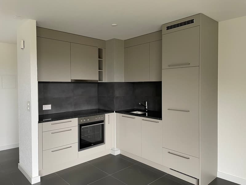Magnifique appartement rénové 2.5 pièces (2)