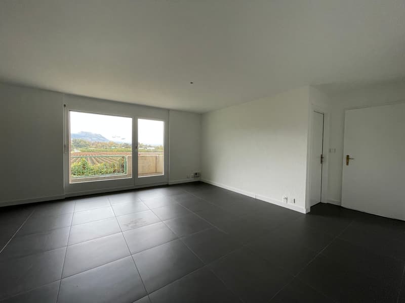Magnifique appartement rénové 2.5 pièces (3)