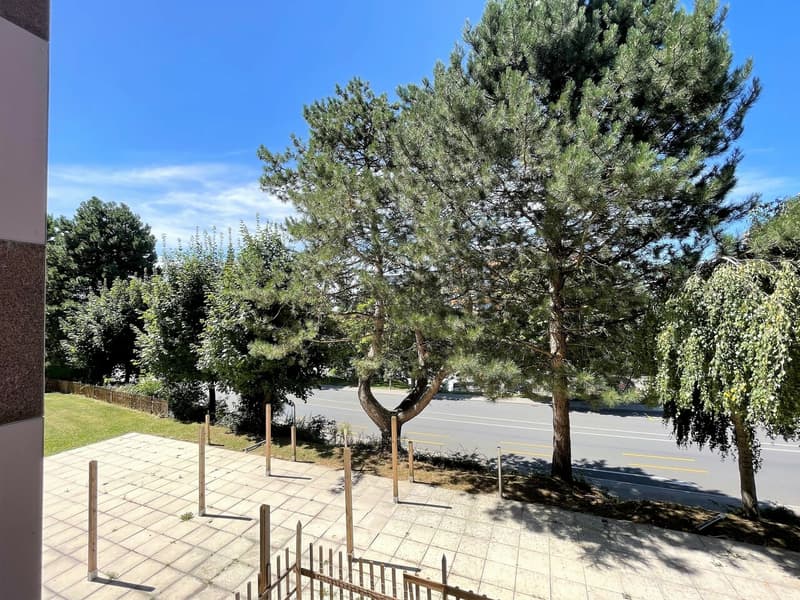 Appartement de 3.5 pièces au 1er étage (7)