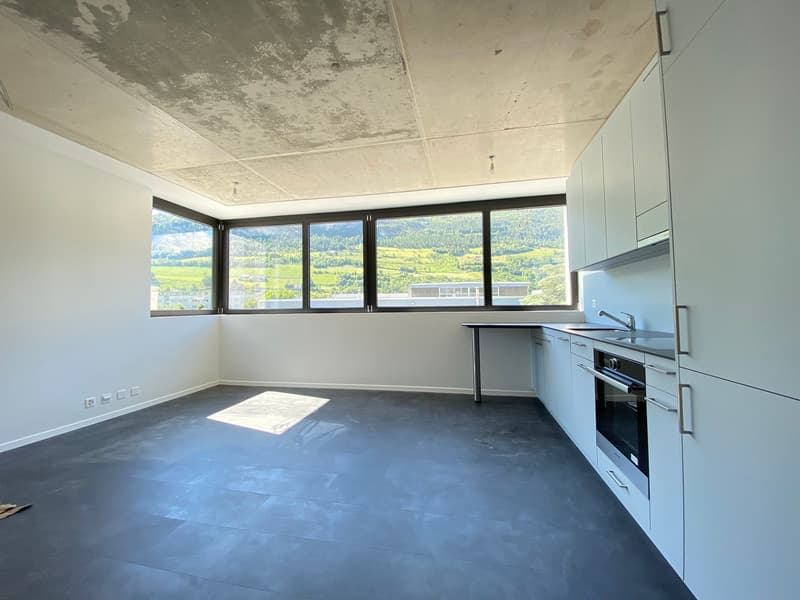 Magnifique appartement de 2.5 pièces moderne à Sion (1)
