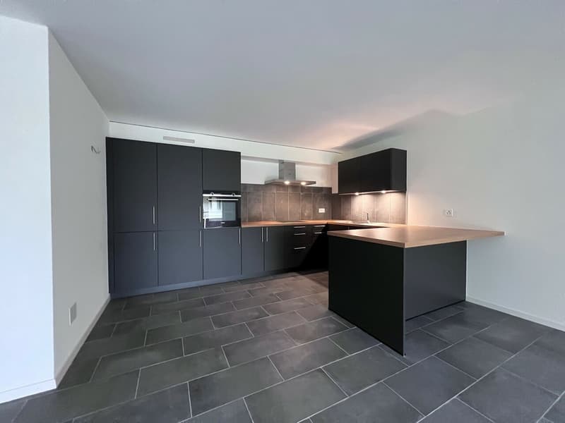 Magnifique 4.5 pièces en duplex (2)