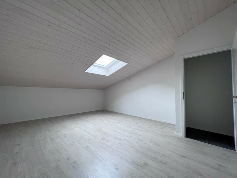 Magnifique 4.5 pièces en duplex (3)