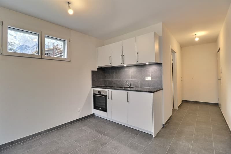 Magnifique appartement de 1 pièce au rez (1)
