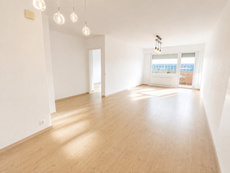 3,5 pces - lumineux et balcon (2)