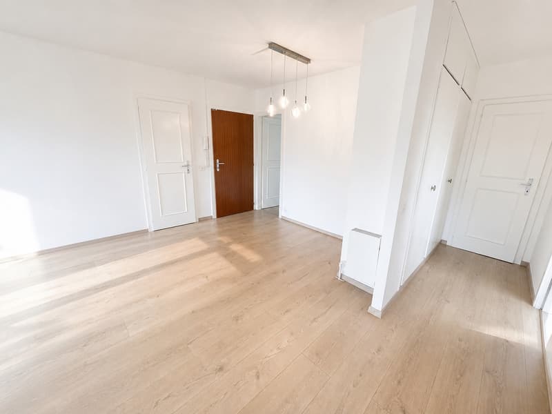 3,5 pces - lumineux et balcon (3)