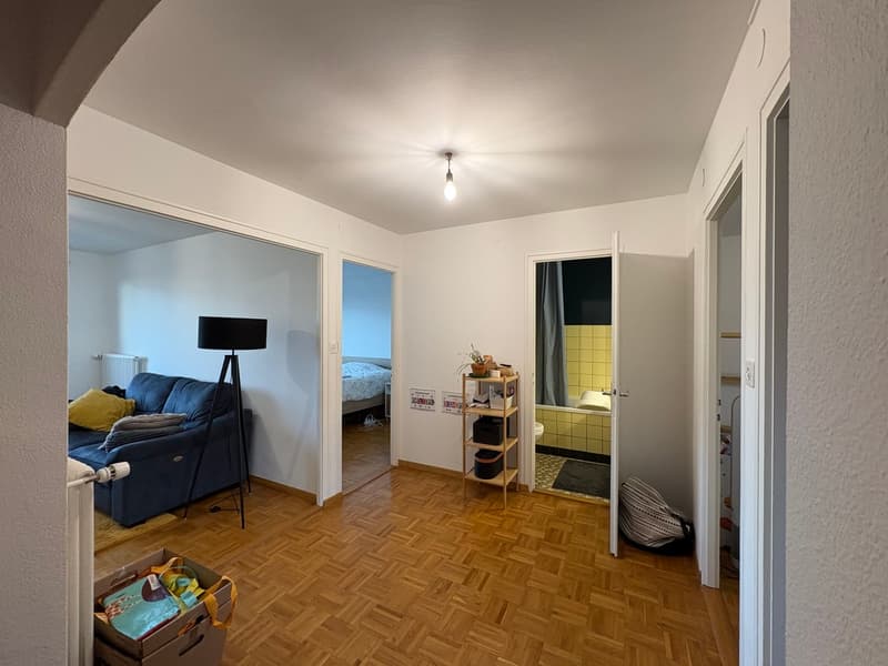 Appartement de 3.5 pièces avec magnifique vue sur le lac (6)