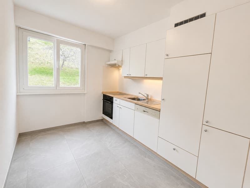 3,5 pces - lumineux et balcon (3)