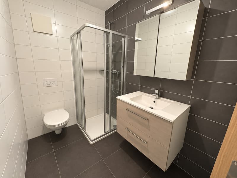 Joli appartement de 2.5 pièces (3)