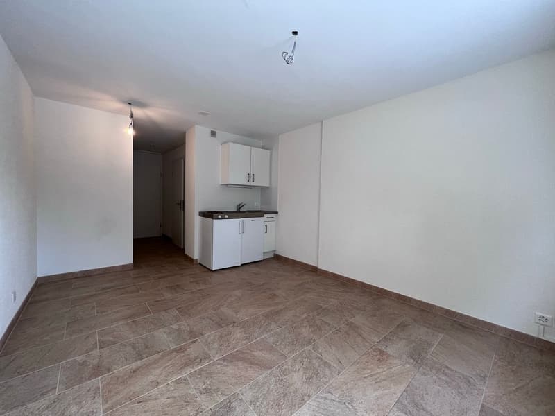 Appartement de 1.0 pièce au 2ème étage (1)