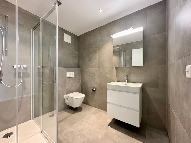 Exclusive - last 3.5 room apartment of high standard (7)