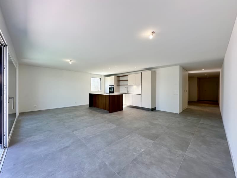 Exclusive - last 3.5 room apartment of high standard (2)