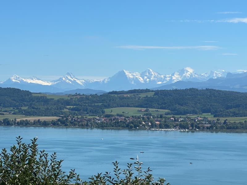 TERRAIN AVEC INCROYABLE VUE SUR LE LAC DE MORAT (1)