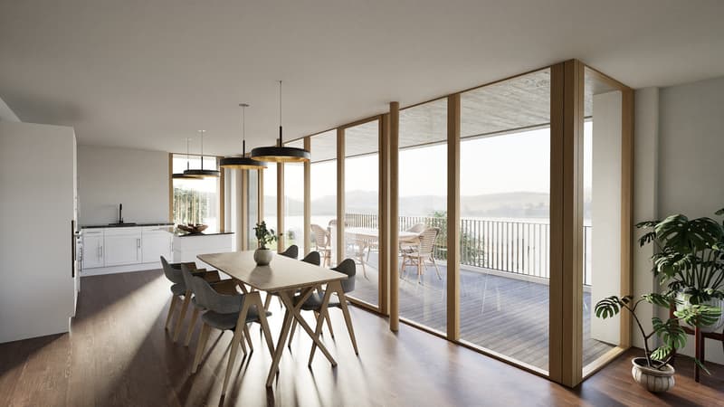Villa sur plan avec incroyable vue sur le Lac de Morat et les Alpes (3)
