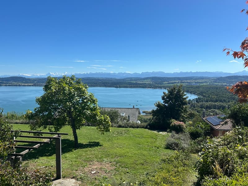 Villa sur plan avec incroyable vue sur le Lac de Morat et les Alpes (7)