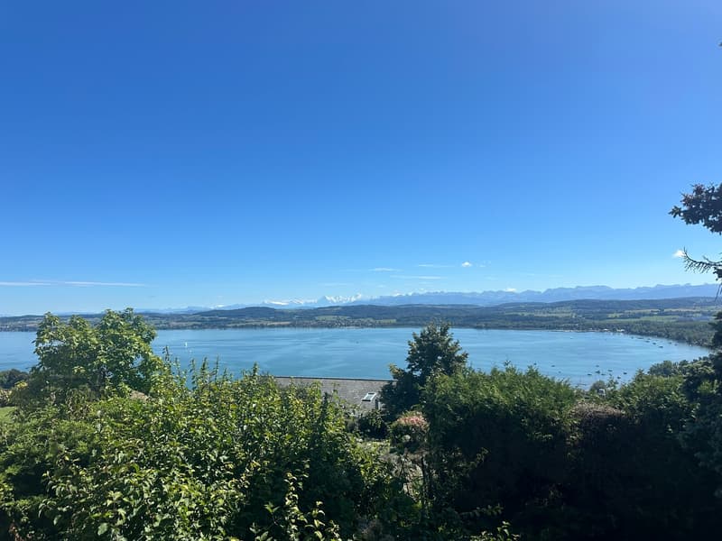 Villa sur plan avec incroyable vue sur le Lac de Morat et les Alpes (11)