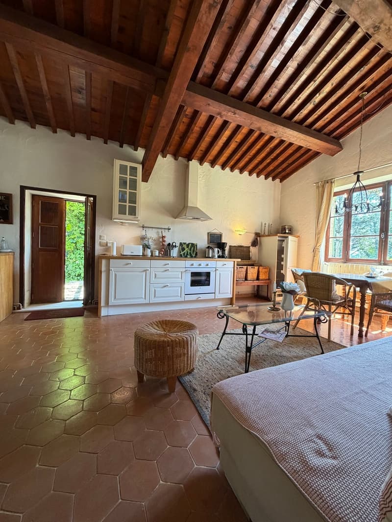 Gîte de 60 m2 dans bastide provençale avec terrasse privative (11)
