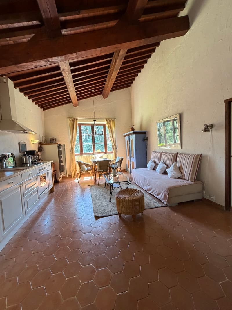Gîte de 60 m2 dans bastide provençale avec terrasse privative (9)