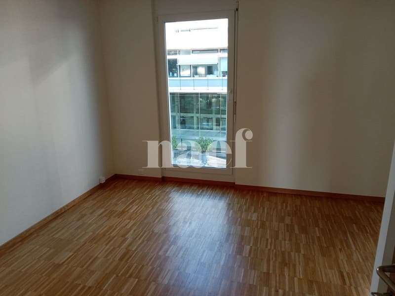 Magnifique et spacieux appartement à deux pas de la gare avec vue imprenable sur le lac. (3)