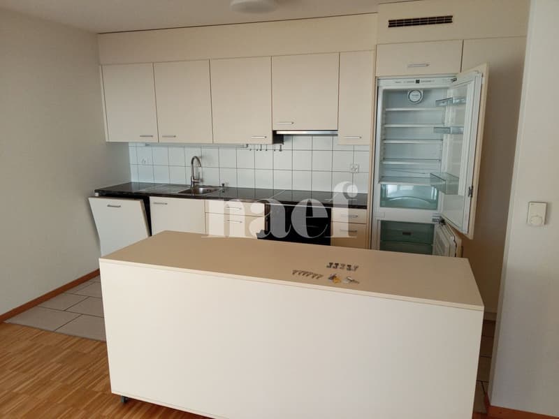 Magnifique et spacieux appartement à deux pas de la gare avec vue imprenable sur le lac. (5)