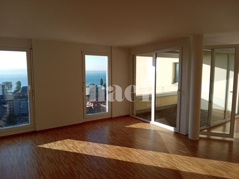 Magnifique et spacieux appartement à deux pas de la gare avec vue imprenable sur le lac. (2)