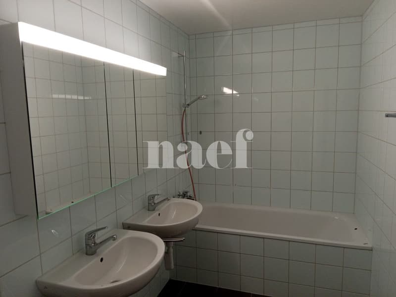 Magnifique et spacieux appartement à deux pas de la gare avec vue imprenable sur le lac. (6)