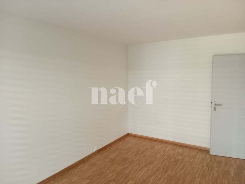 Magnifique et spacieux appartement à deux pas de la gare avec vue imprenable sur le lac. (4)