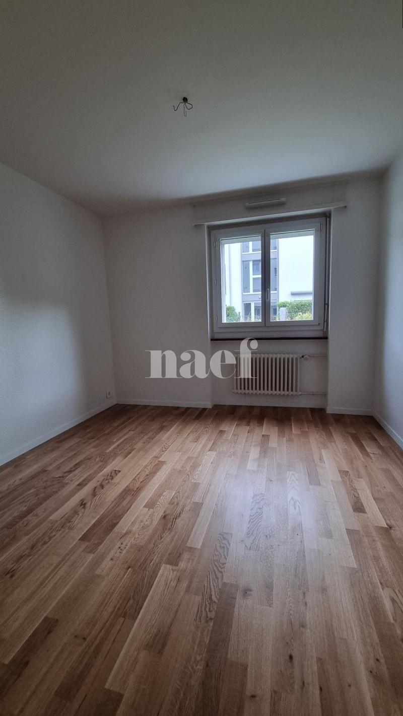 3.5 room apartment on the ground floor (6)