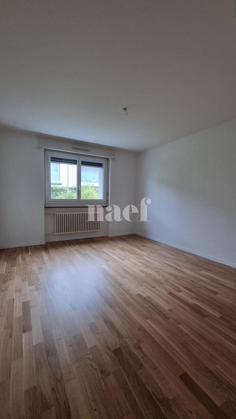 3.5 room apartment on the ground floor (5)