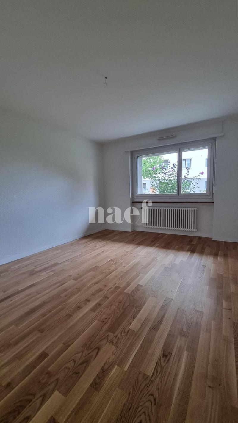 3.5 room apartment on the ground floor (7)