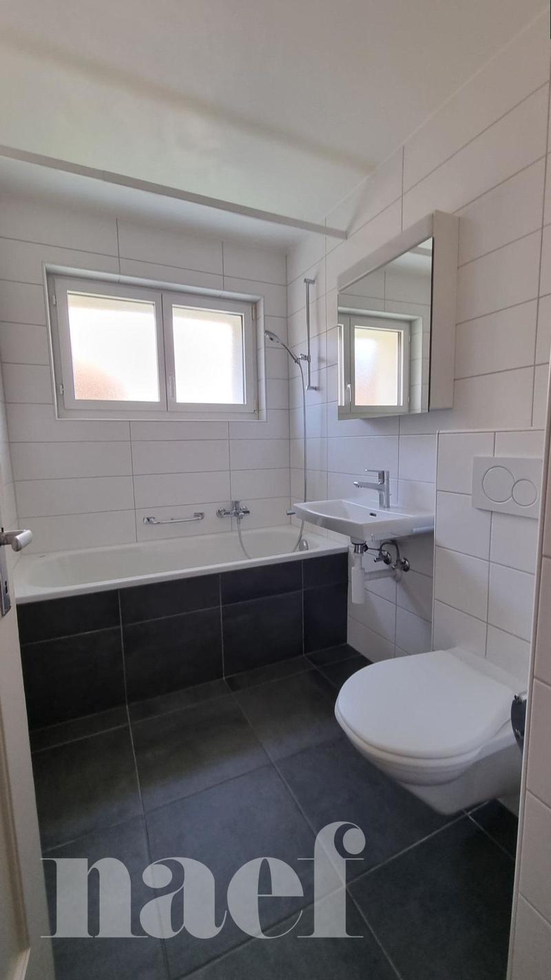 3.5 room apartment on the ground floor (3)
