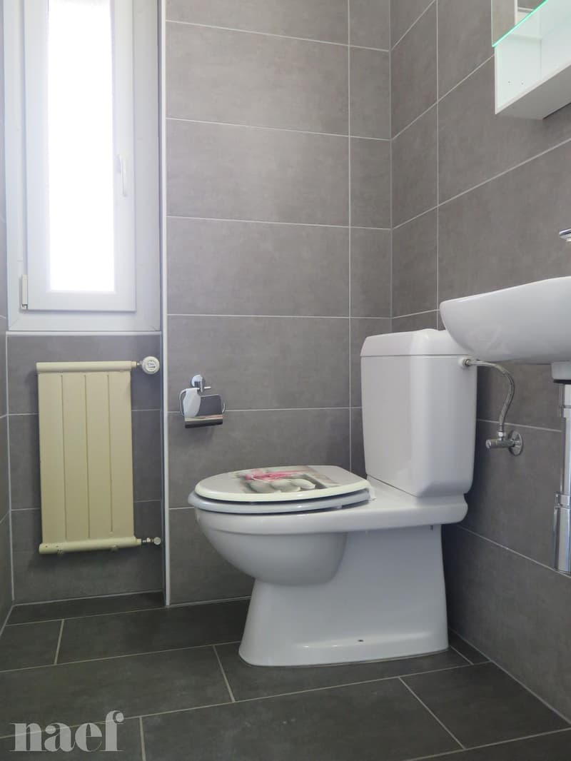 Beautiful recently renovated apartment with magnificent view of the lake (4)