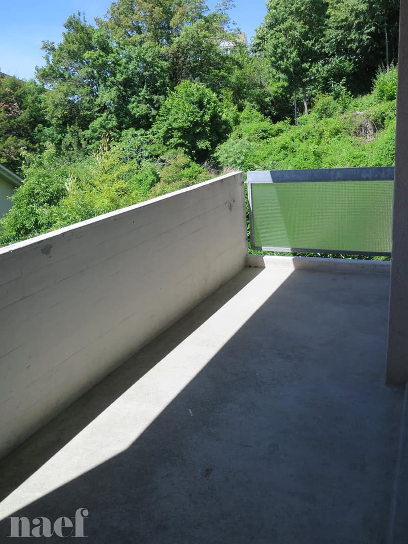 Beautiful recently renovated apartment with magnificent view of the lake (5)