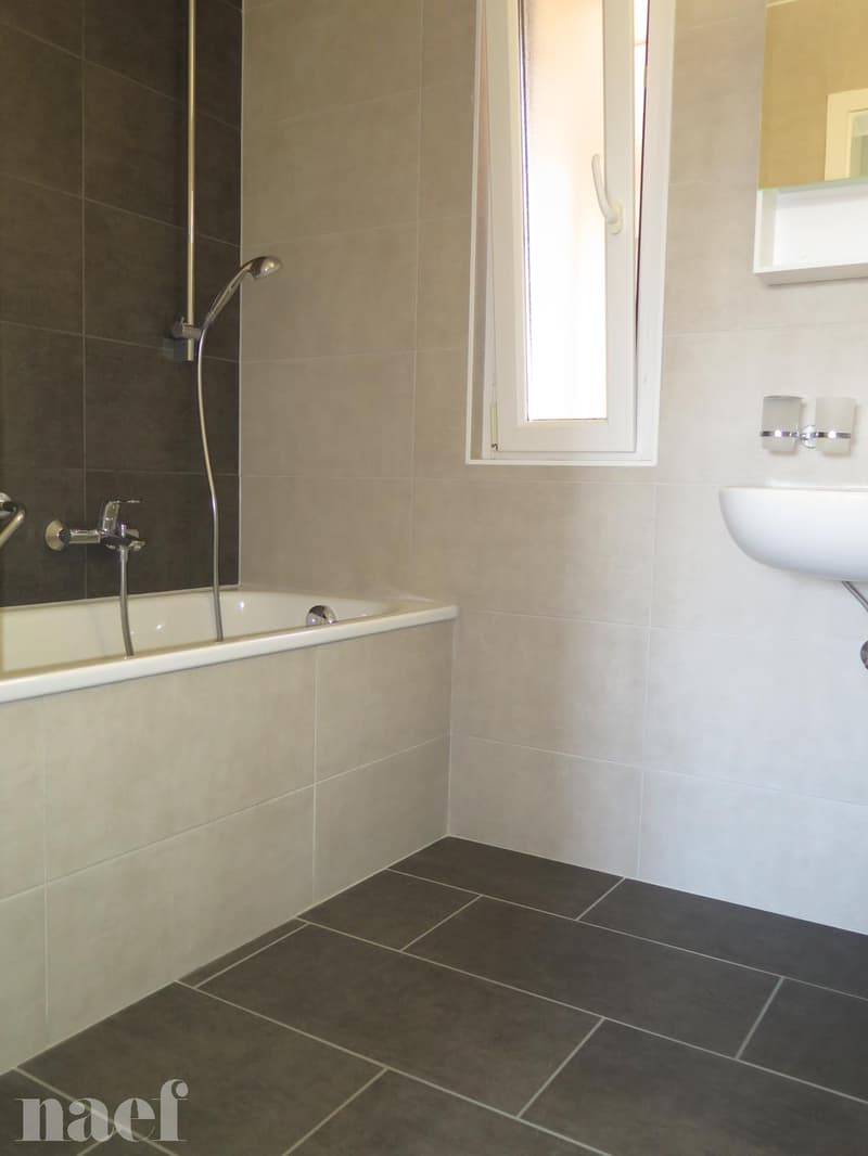 Beautiful recently renovated apartment with magnificent view of the lake (3)