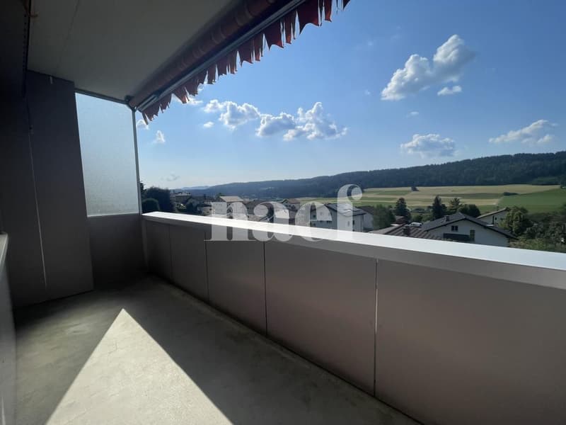 RENOVE - Magnifique appartement lumineux de 3 pièces à Tramelan (8)