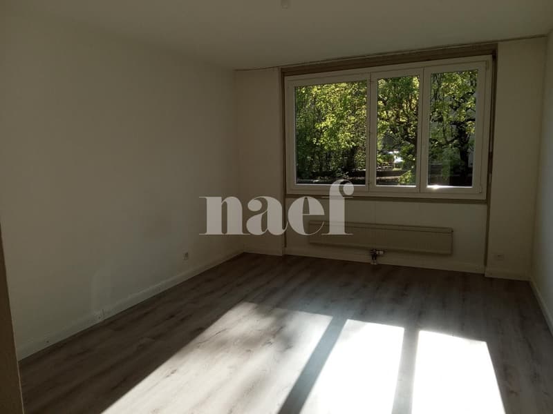 Apartment located in a quiet neighborhood, two steps from the bus stop and the primary school. (12)