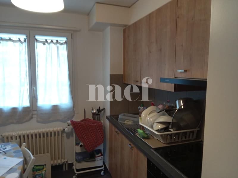 Beautiful apartment located just a few steps from the CFF train station and shops. (3)