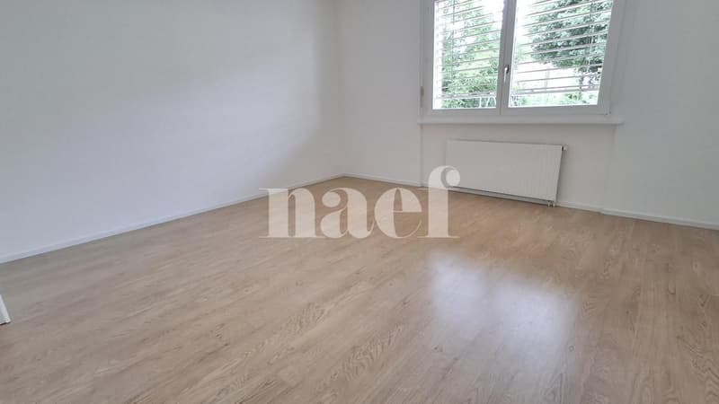 Appartement rénové (6)