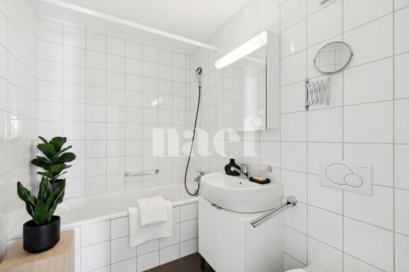 Occasion à saisir! Sublime logement idéalement situé (6)