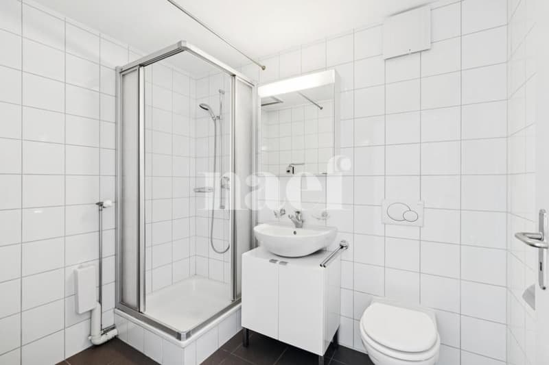Sublime accommodation ideally located (9)