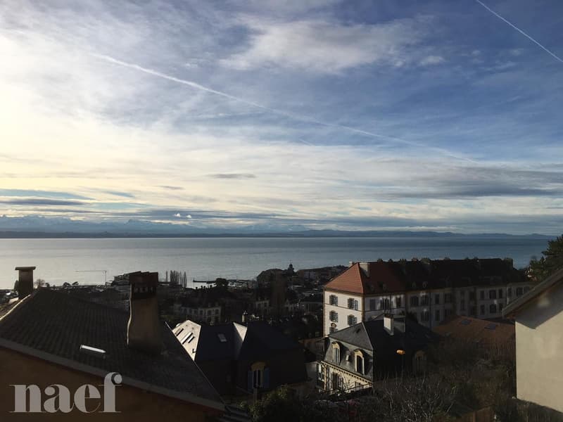 Neighborhood close to Neuchâtel train station, magnificent view of the lake and the Alps. (9)