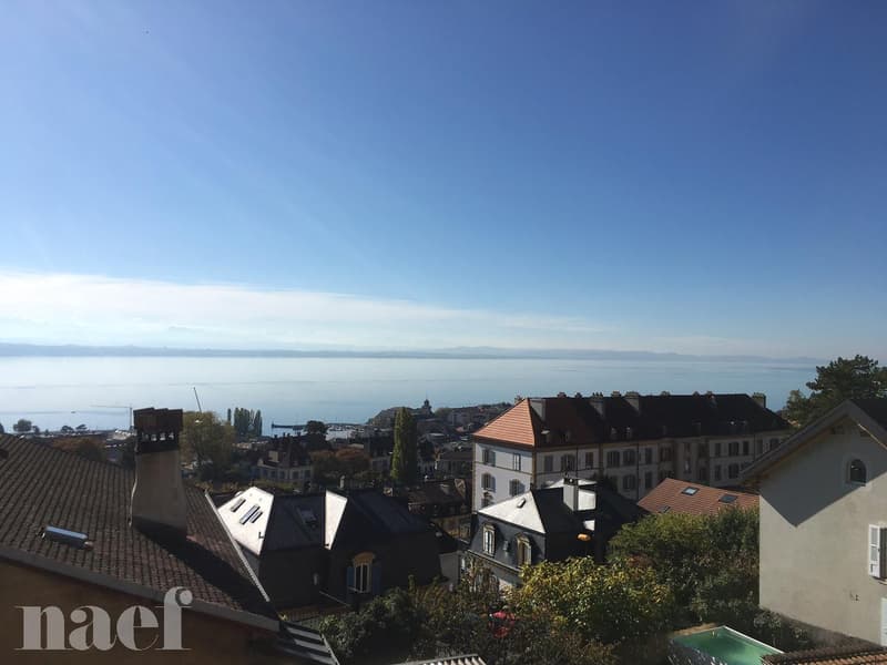 Neighborhood close to Neuchâtel train station, magnificent view of the lake and the Alps. (2)