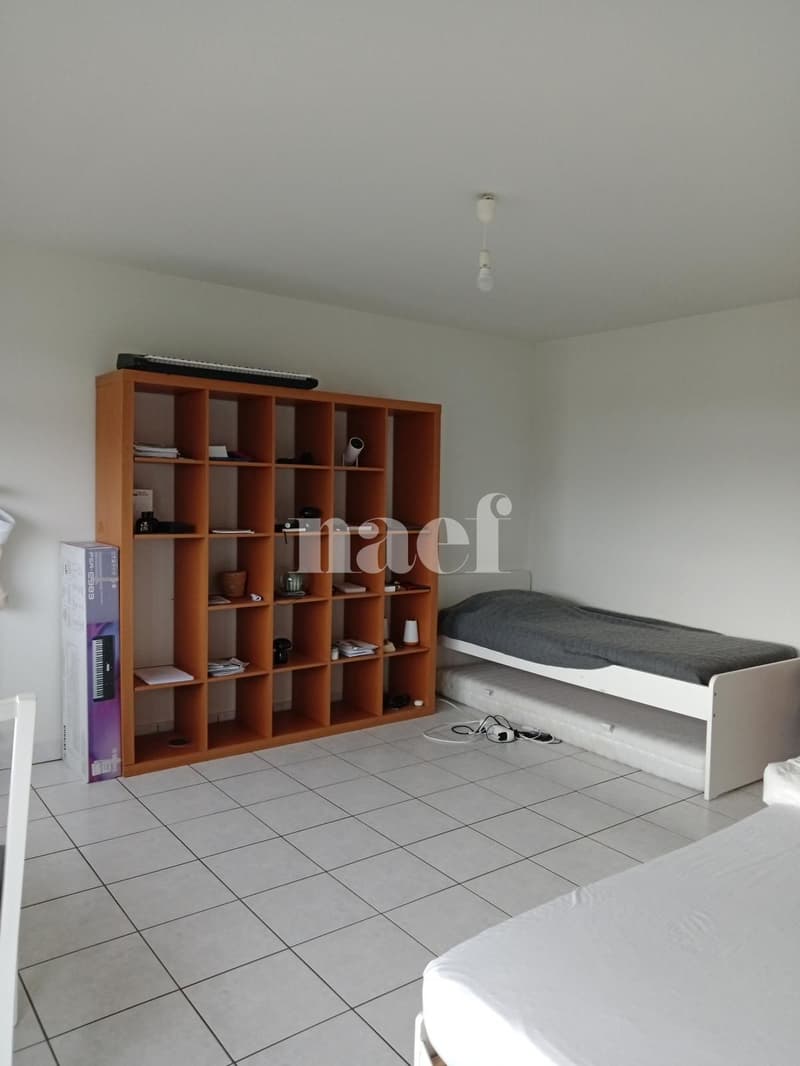 Appartamento monolocale con balcone a Cornaux (2)