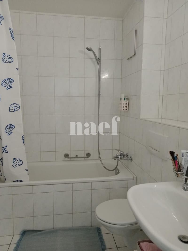 Appartamento di due locali al quarto piano (5)